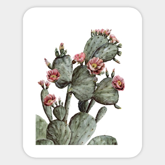 Prickly Pear Sticker by ShealeenLouise